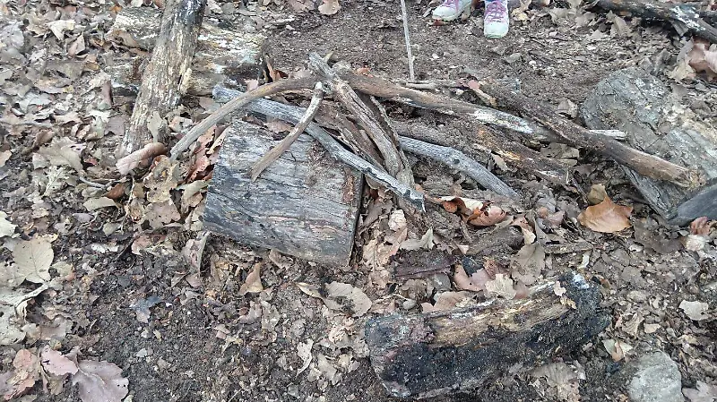 Restos calcinados en Ahualulco de Mercado (2).jpeg